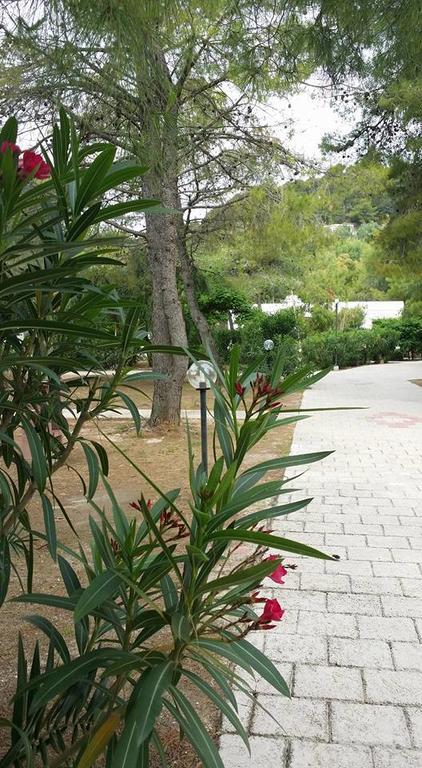 Villaggio Sabbiadoro Vieste Dış mekan fotoğraf